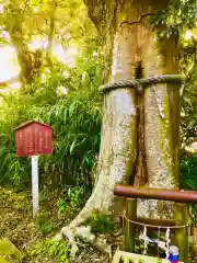 大鷲神社の自然