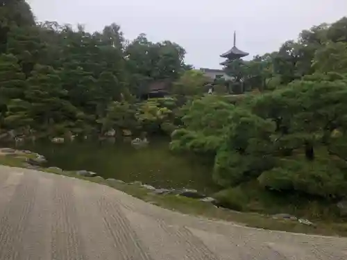 仁和寺の庭園