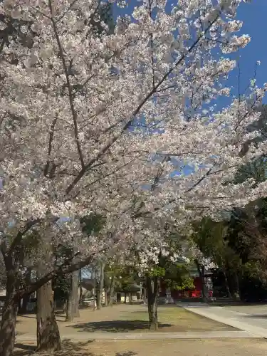 小野神社の{uncategorized: "未分類", other: "その他", undefined: "問題あり", building: "その他建物", grave: "お墓", sacred_gate: "鳥居", guardian: "狛犬", statue: "像", buddha: "仏像", history: "歴史", nature: "自然", garden: "庭園", animal: "動物", pagoda: "塔", temizu: "手水舎", mountain_gate: "山門・神門", sanctuary: "本殿・本堂", subordinate: "末社・摂社", art: "芸術", scenery: "景色", jizo: "地蔵", ema: "絵馬", goshuin: "御朱印", omikuji: "おみくじ", items: "授与品その他", amulet: "お守り", goshuincho: "御朱印帳", eats: "食事", festival: "お祭り", votive_dance: "神楽", shichigosan: "七五三参", wedding: "結婚式", experience: "体験その他", initially: "初詣", around: "周辺", anti_infection: "感染症対策"}