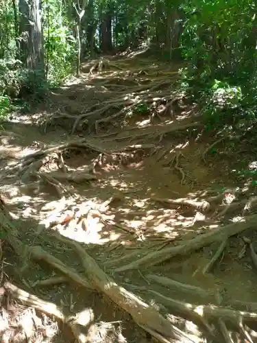 御岩神社の自然