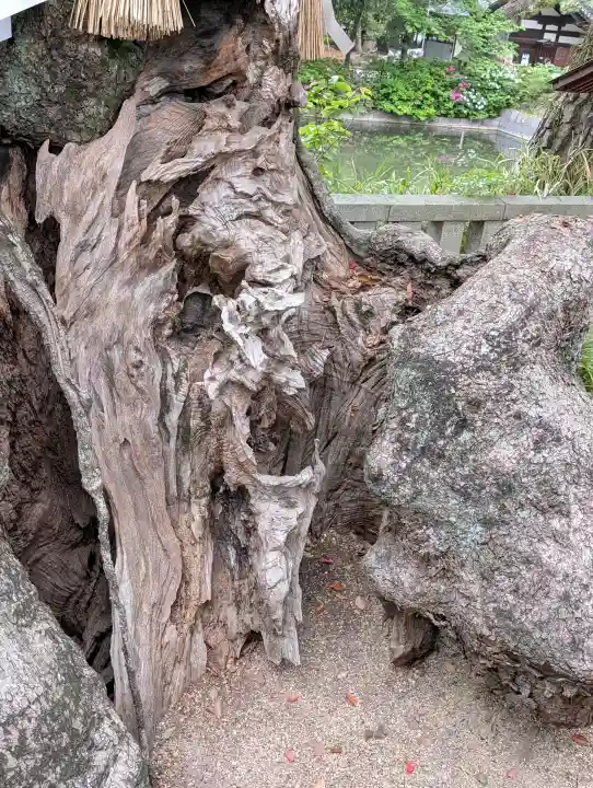 住吉大社の{uncategorized: "未分類", other: "その他", undefined: "問題あり", building: "その他建物", grave: "お墓", sacred_gate: "鳥居", guardian: "狛犬", statue: "像", buddha: "仏像", history: "歴史", nature: "自然", garden: "庭園", animal: "動物", pagoda: "塔", temizu: "手水舎", mountain_gate: "山門・神門", sanctuary: "本殿・本堂", subordinate: "末社・摂社", art: "芸術", scenery: "景色", jizo: "地蔵", ema: "絵馬", goshuin: "御朱印", omikuji: "おみくじ", items: "授与品その他", amulet: "お守り", goshuincho: "御朱印帳", eats: "食事", festival: "お祭り", votive_dance: "神楽", shichigosan: "七五三参", wedding: "結婚式", experience: "体験その他", initially: "初詣", around: "周辺", anti_infection: "感染症対策"}