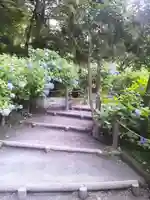 明月院(神奈川県)