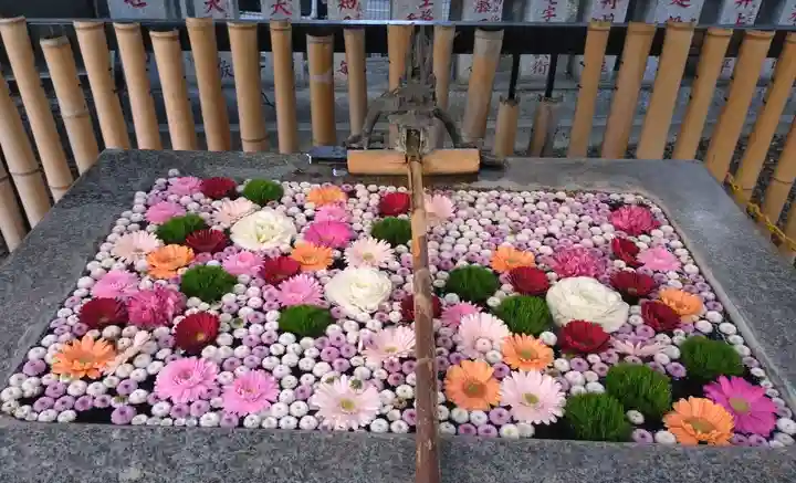 高円寺氷川神社(東京都)