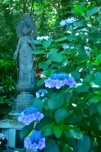 高幡不動尊　金剛寺(東京都)