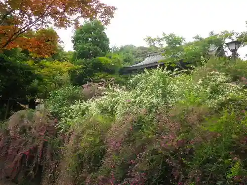 海蔵寺の景色