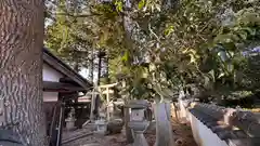 春日神社(奈良県)