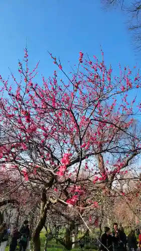北野天満宮の{uncategorized: "未分類", other: "その他", undefined: "問題あり", building: "その他建物", grave: "お墓", sacred_gate: "鳥居", guardian: "狛犬", statue: "像", buddha: "仏像", history: "歴史", nature: "自然", garden: "庭園", animal: "動物", pagoda: "塔", temizu: "手水舎", mountain_gate: "山門・神門", sanctuary: "本殿・本堂", subordinate: "末社・摂社", art: "芸術", scenery: "景色", jizo: "地蔵", ema: "絵馬", goshuin: "御朱印", omikuji: "おみくじ", items: "授与品その他", amulet: "お守り", goshuincho: "御朱印帳", eats: "食事", festival: "お祭り", votive_dance: "神楽", shichigosan: "七五三参", wedding: "結婚式", experience: "体験その他", initially: "初詣", around: "周辺", anti_infection: "感染症対策"}