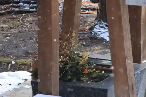 高司神社〜むすびの神の鎮まる社〜の手水