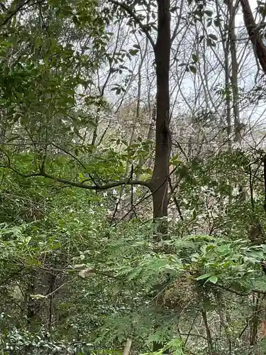 尾張冨士大宮浅間神社(愛知県)