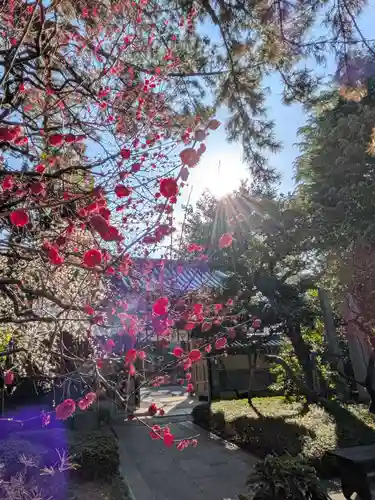 玄国寺(東京都)