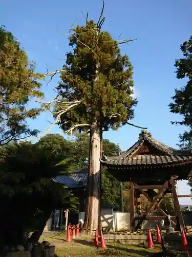 松林寺のその他建物