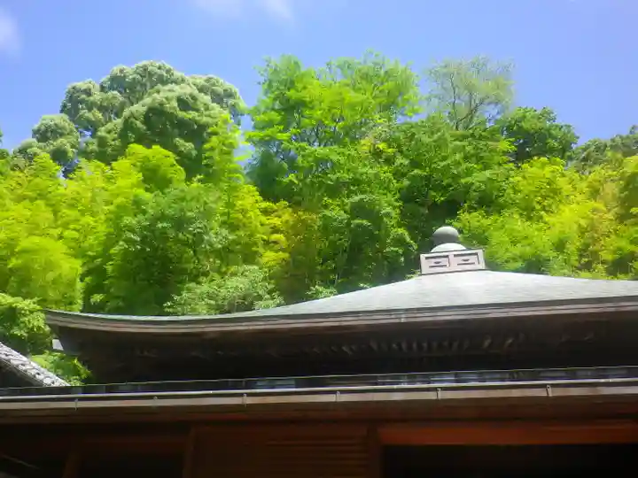 東慶寺の自然