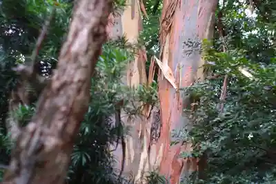 元城町東照宮の自然