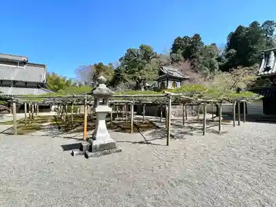 本誓寺(東本誓寺)(滋賀県)