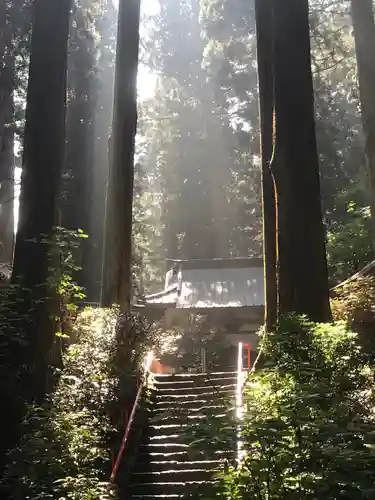 御岩神社の自然