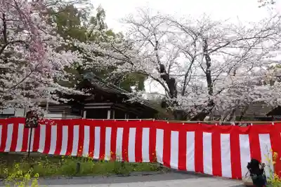 平野神社(京都府)