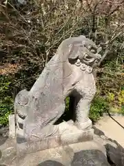 晴明神社の狛犬