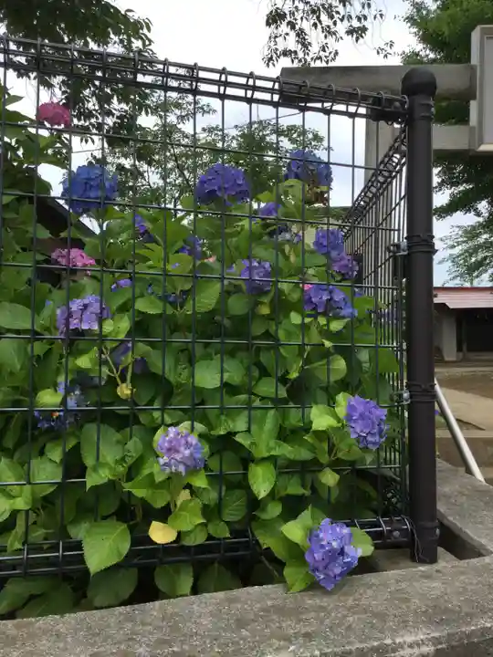 明治神宮の自然