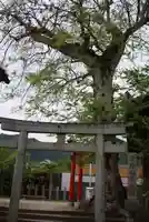 染野稲荷神社(奈良県)