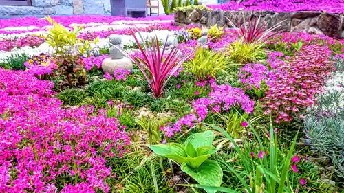 寿量山　速成寺の庭園