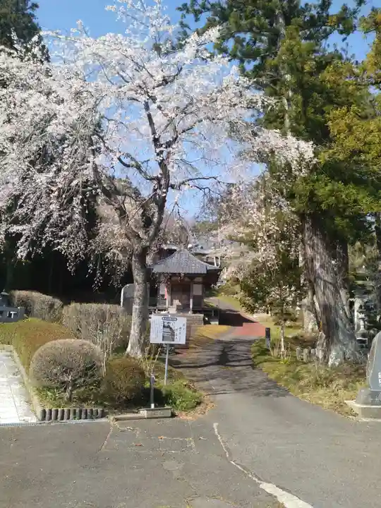 瑞雲寺(宮城県)