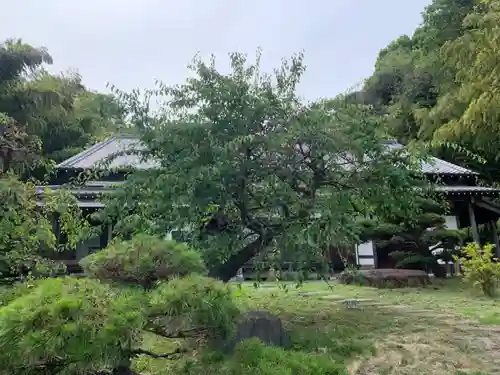 常不軽寺(千葉県)