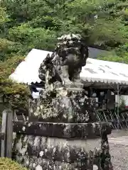 出雲大神宮の狛犬