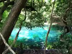 丸池神社(山形県)