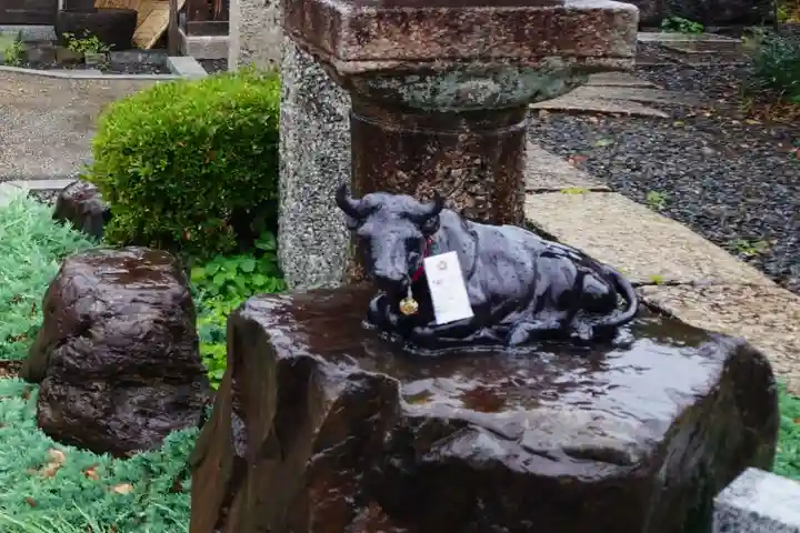 大松禅寺(京都府)