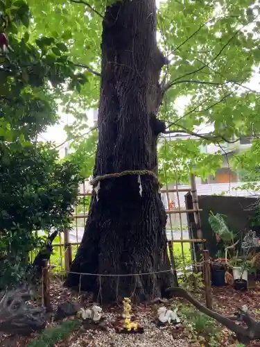 戸越八幡神社(東京都)