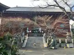 養玉院如来寺の本殿