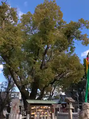 長瀨神社の自然