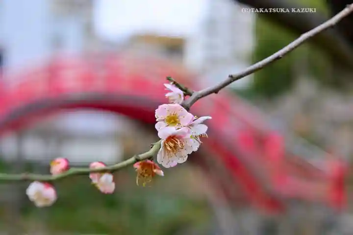 亀戸天神社(東京都)