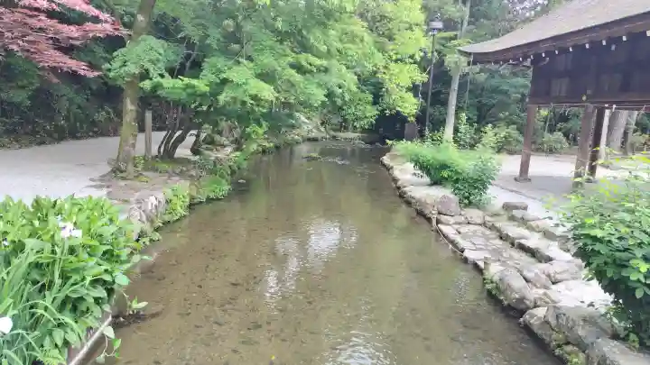 賀茂別雷神社(上賀茂神社)(京都府)