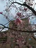 宮代神社(東京都)