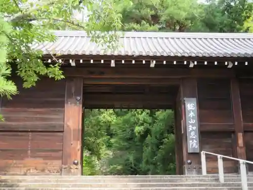 知恩院の山門