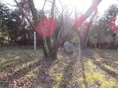 相撲神社の自然