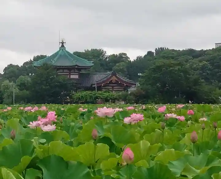 寛永寺不忍池弁天堂(東京都)