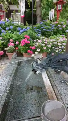 川越八幡宮の手水舎