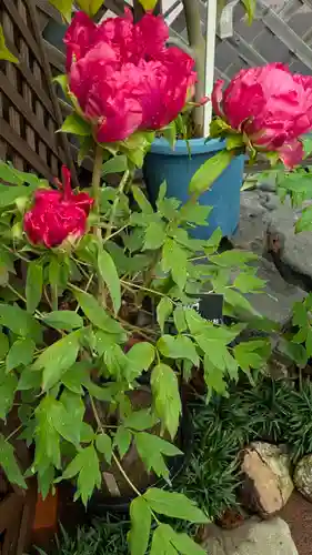 半木神社（賀茂別雷神社境外末社）(京都府)