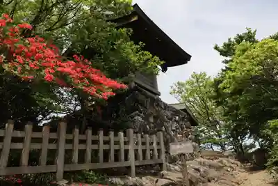 筑波山神社の本殿・本堂