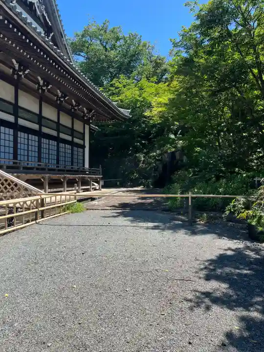 妙蓮寺の{uncategorized: "未分類", other: "その他", undefined: "問題あり", building: "その他建物", grave: "お墓", sacred_gate: "鳥居", guardian: "狛犬", statue: "像", buddha: "仏像", history: "歴史", nature: "自然", garden: "庭園", animal: "動物", pagoda: "塔", temizu: "手水舎", mountain_gate: "山門・神門", sanctuary: "本殿・本堂", subordinate: "末社・摂社", art: "芸術", scenery: "景色", jizo: "地蔵", ema: "絵馬", goshuin: "御朱印", omikuji: "おみくじ", items: "授与品その他", amulet: "お守り", goshuincho: "御朱印帳", eats: "食事", festival: "お祭り", votive_dance: "神楽", shichigosan: "七五三参", wedding: "結婚式", experience: "体験その他", initially: "初詣", around: "周辺", anti_infection: "感染症対策"}