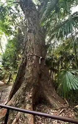 姫大神社(奈良県)