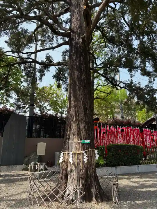 下神明天祖神社(東京都)
