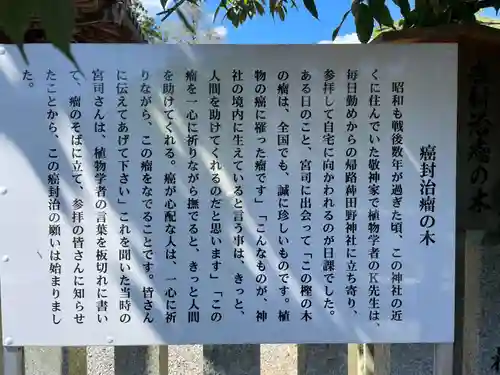 稗田野神社(薭田野神社)(京都府)