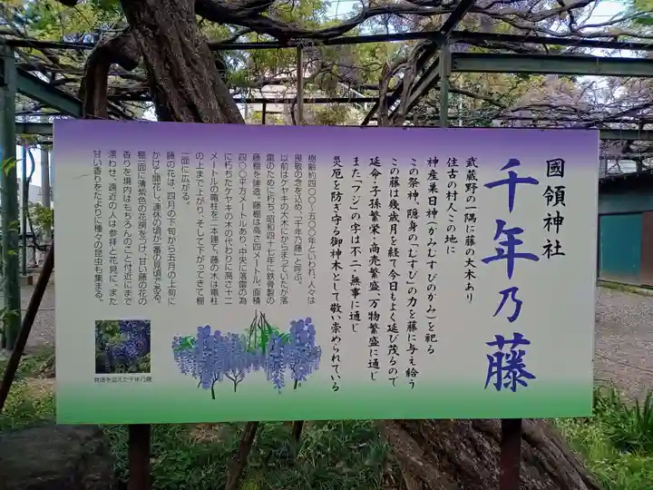 國領神社のその他建物