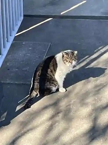 南泉寺(東京都)