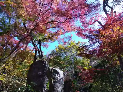 宝泉院(京都府)