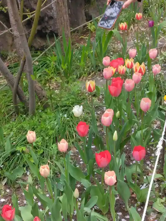 乗蓮寺(東京都)