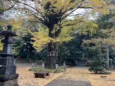 赤坂氷川神社(東京都)